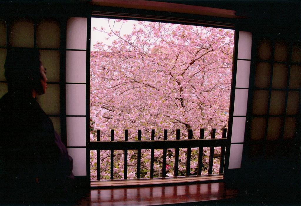 Hotel Tabi No Yado Satsuki Hita Exterior foto