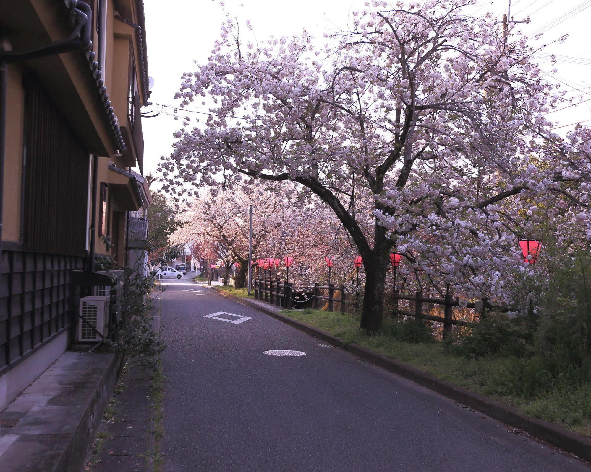 Hotel Tabi No Yado Satsuki Hita Exterior foto
