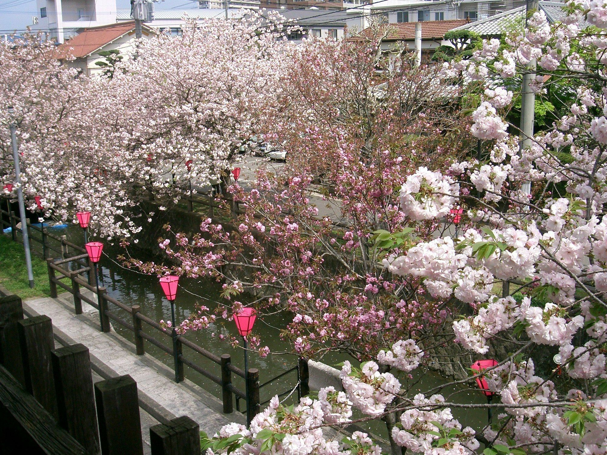 Hotel Tabi No Yado Satsuki Hita Exterior foto